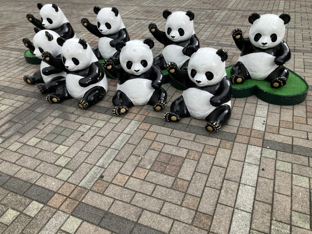 パンダ広場のパンダ達