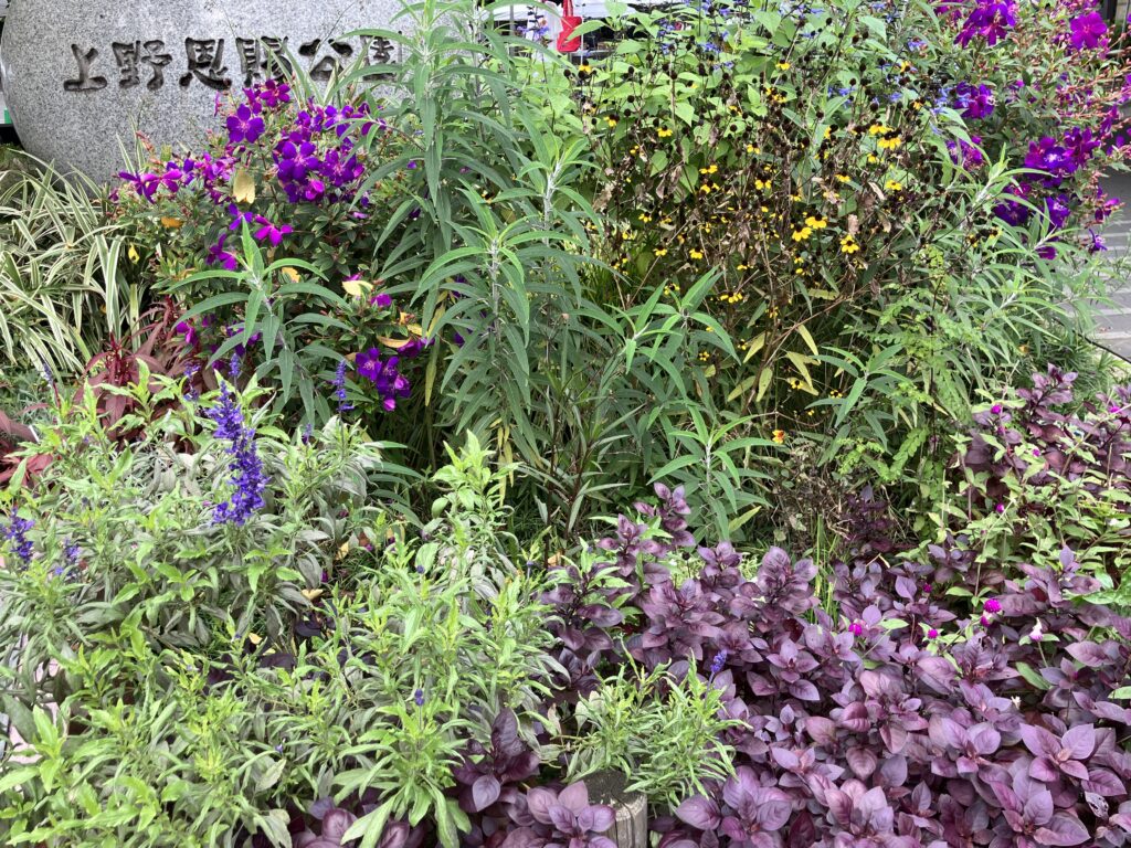 上野恩賜公園入り口