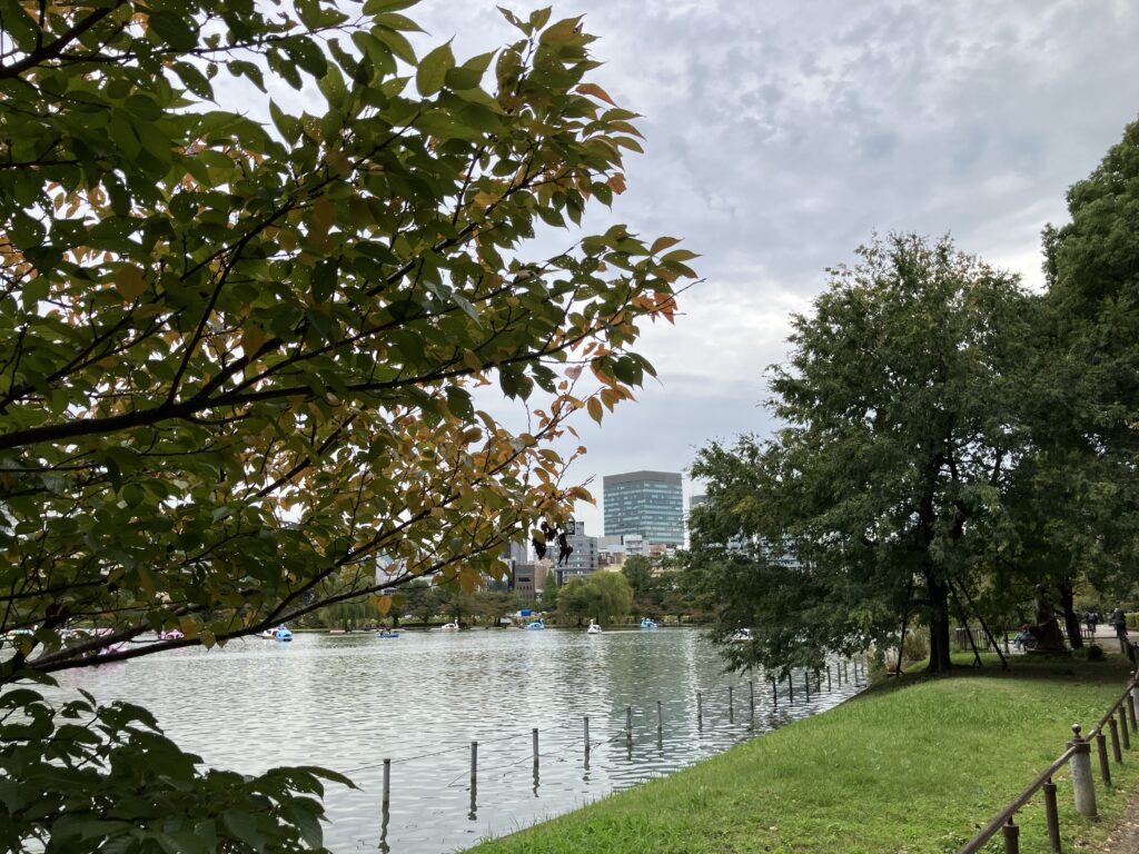 木々は色づき始めています。