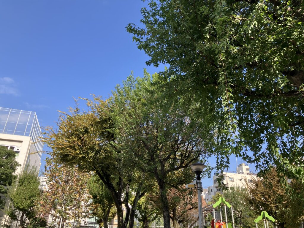 晴天の竹町公園