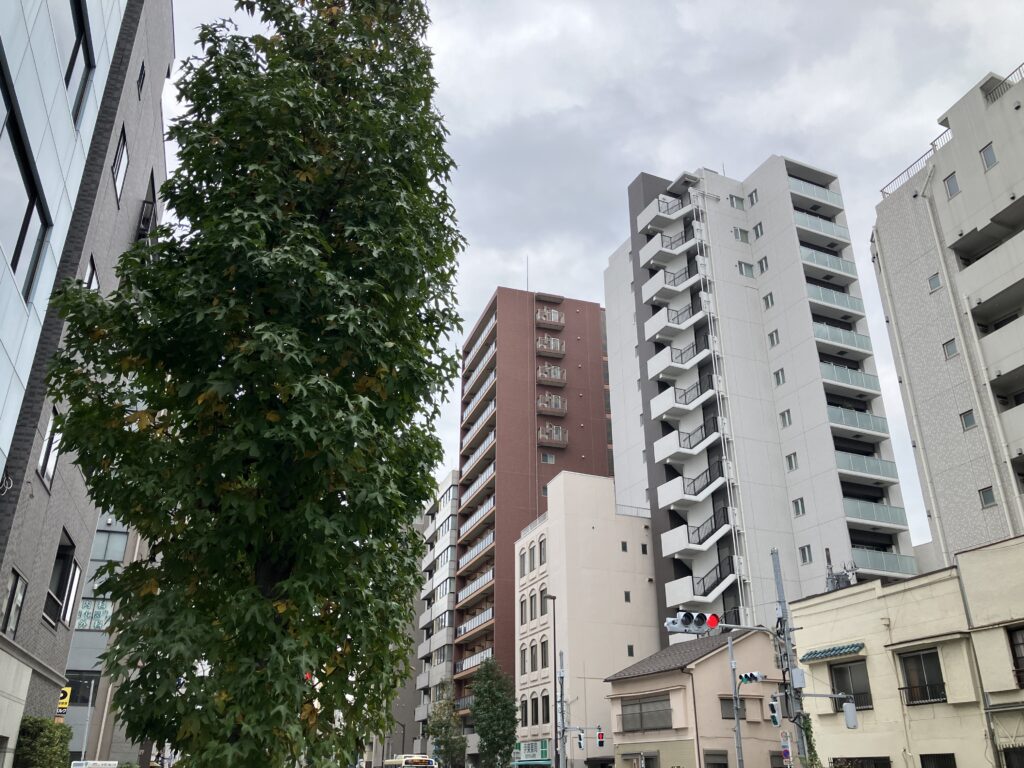 見慣れぬ道を歩く。