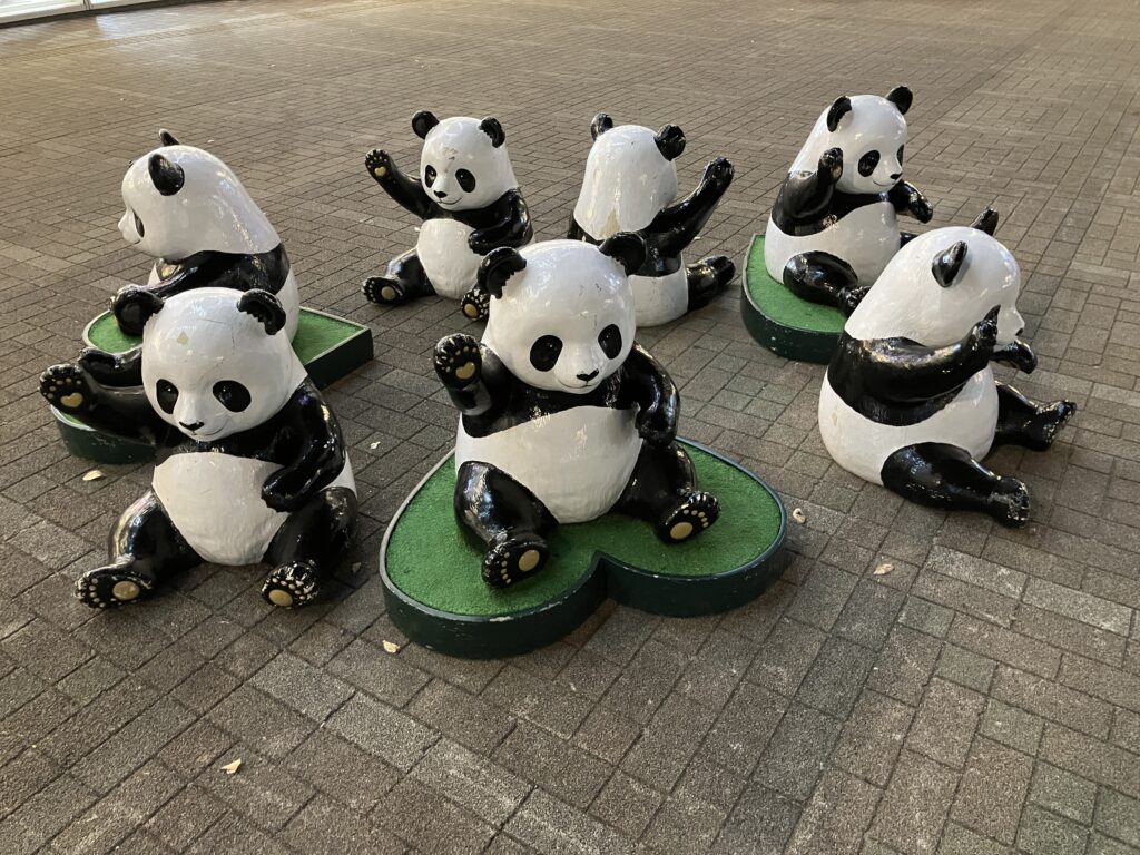 パンダフォーメーションは集合型