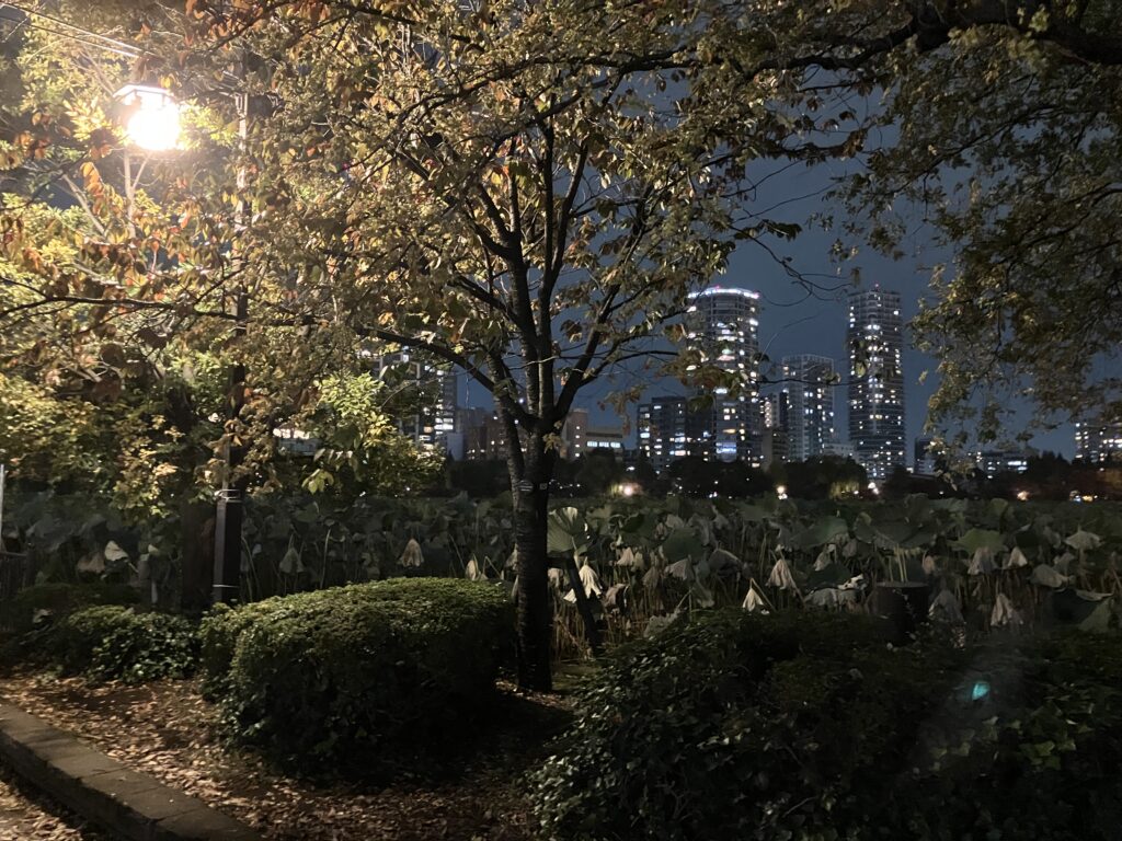 人は少なめです