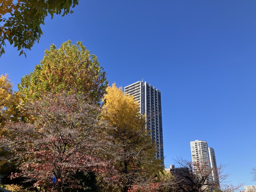 秋の装いです。