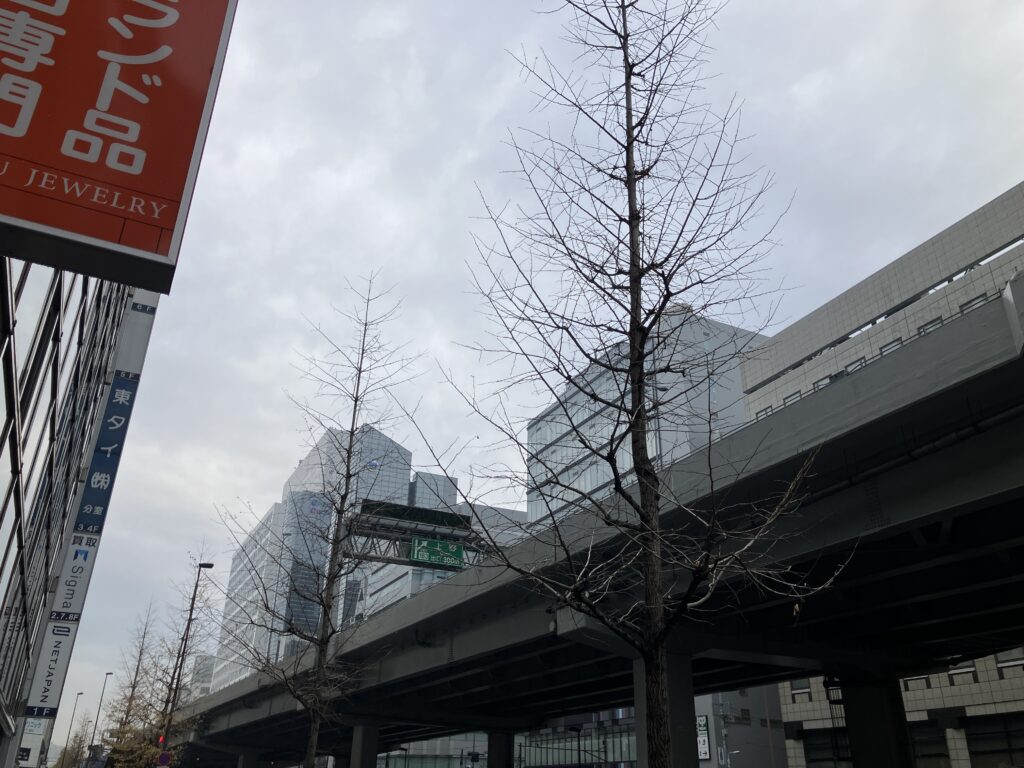 昭和通りのいちょうは、すっかり枯れて