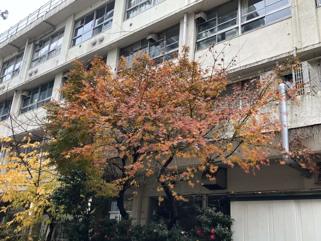 多慶屋さんの裏から新御徒町方面へ