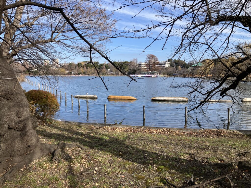 ボートは今日はお休み