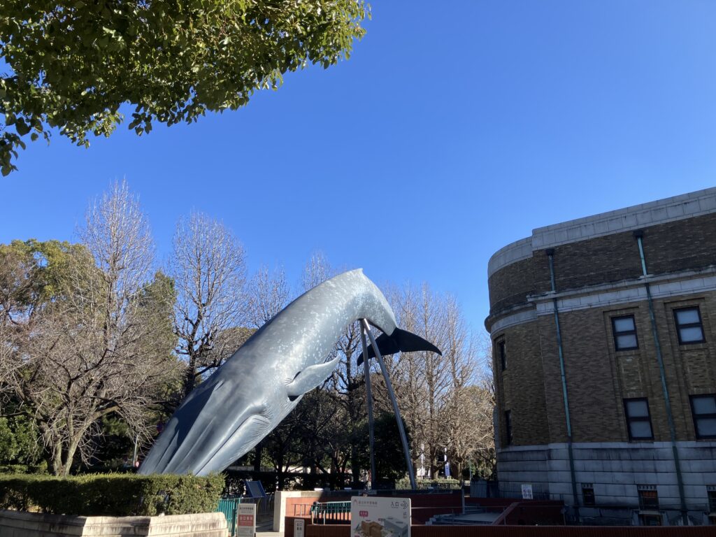 上野公園までやってきました