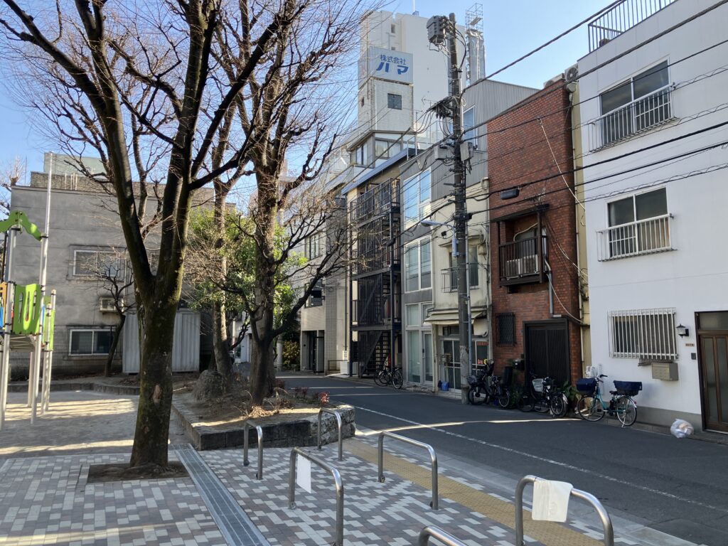すっかり冬の景色