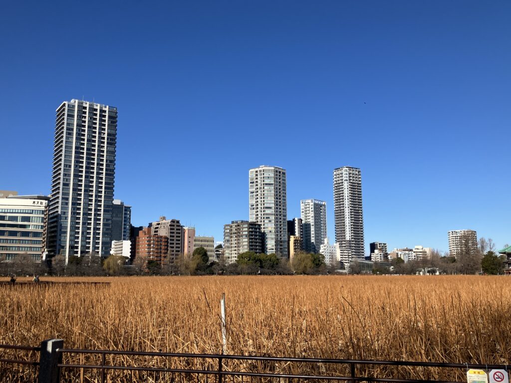 中央通りへ向かいます