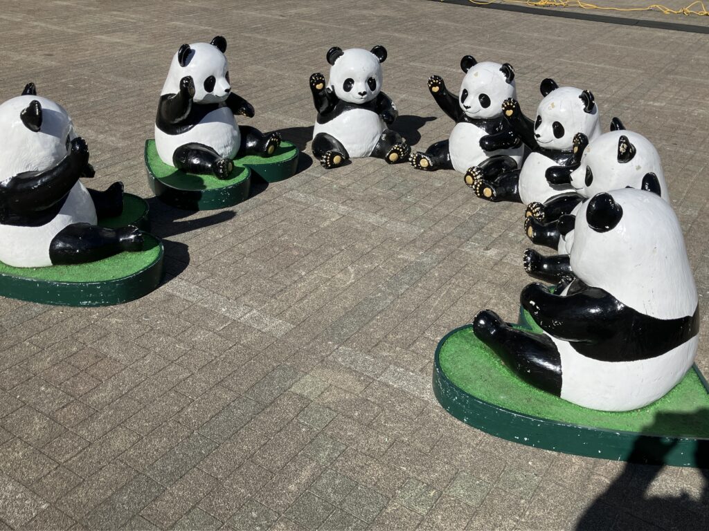 パンダは集合