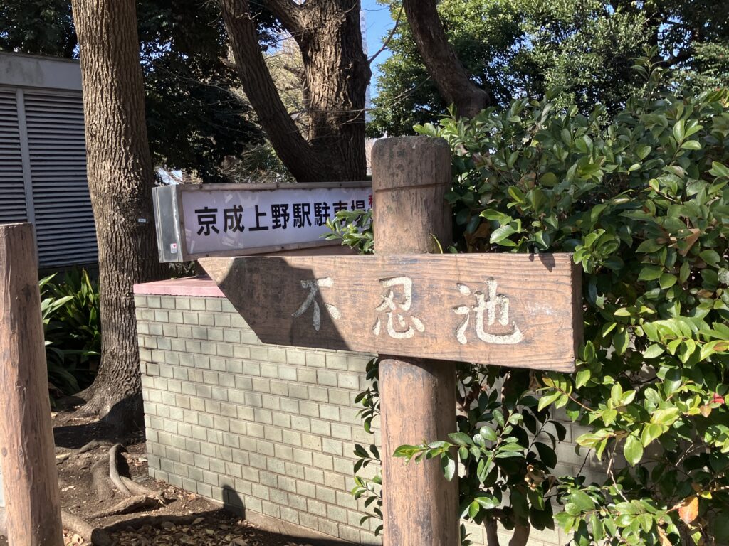 不忍池に向かいましょう