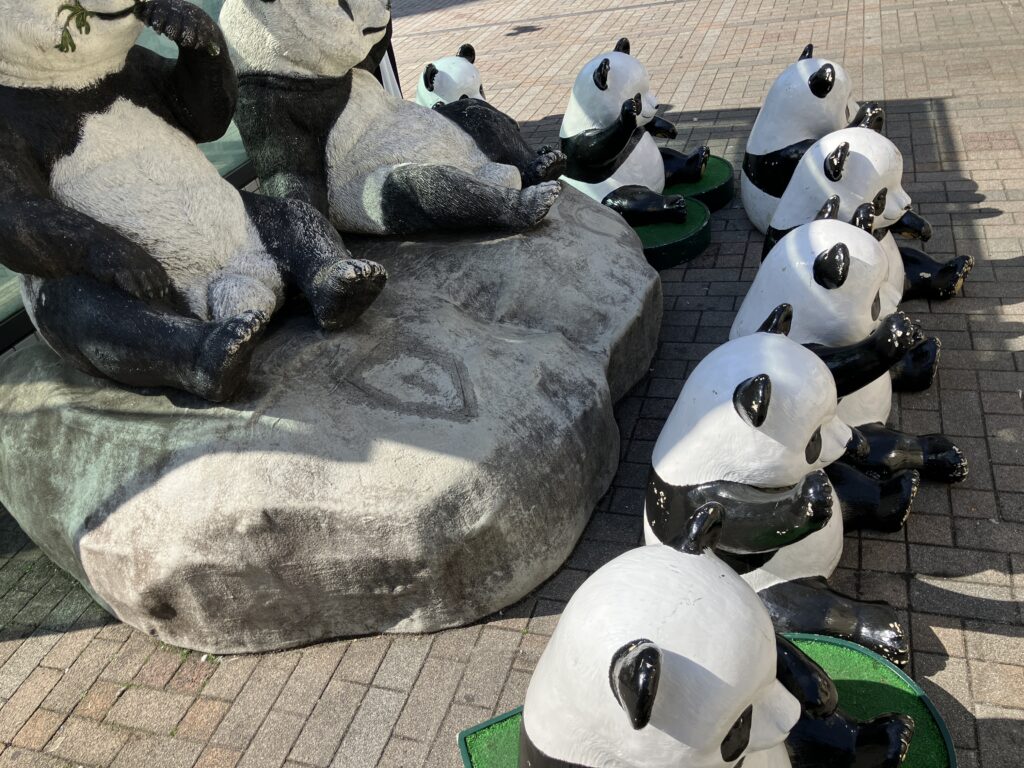 パンダのフォーメーション