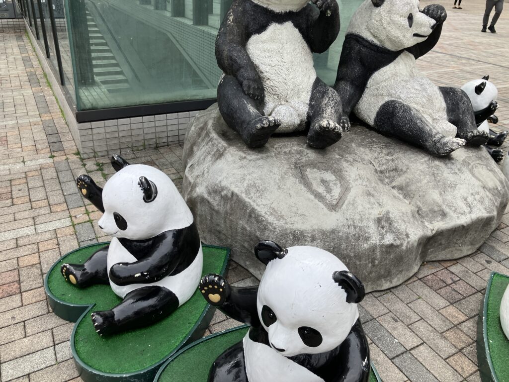 パンダは集合型