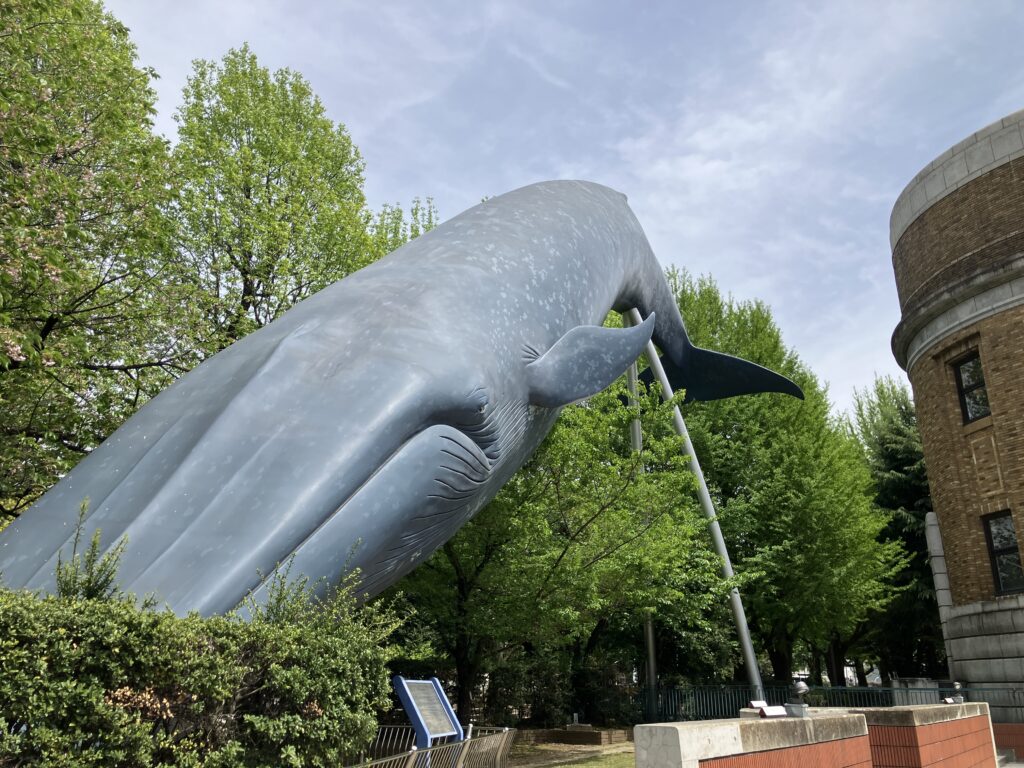 国立科学博物館前