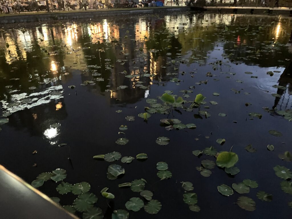蓮の葉