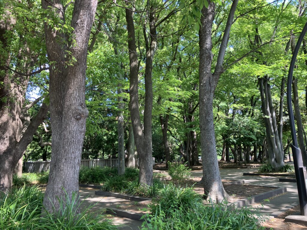 森林浴