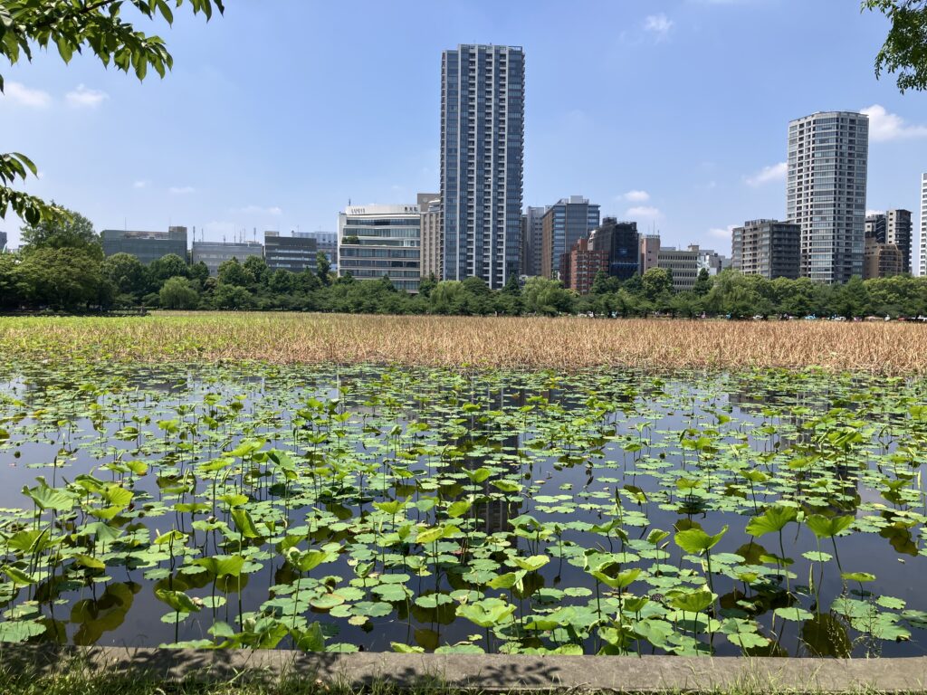 不忍池