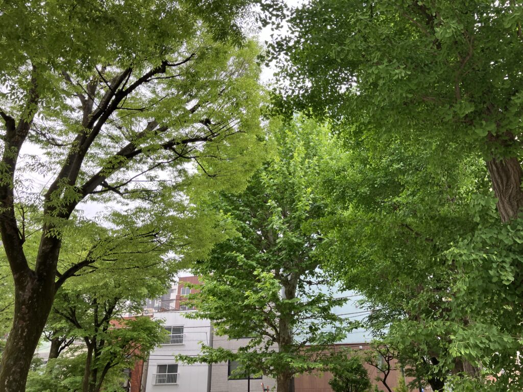 緑