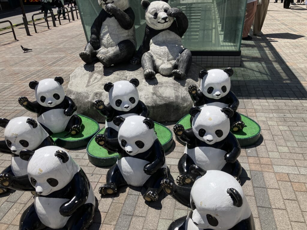 パンダ