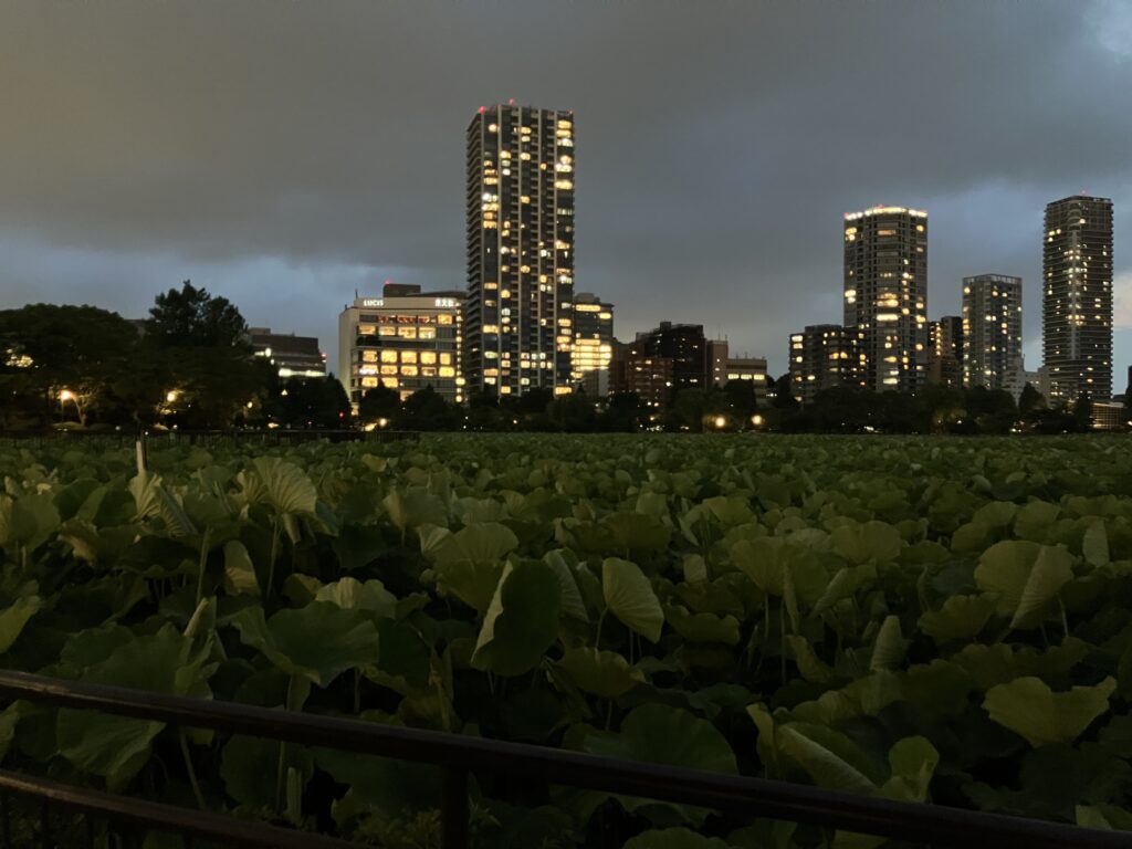 不忍池