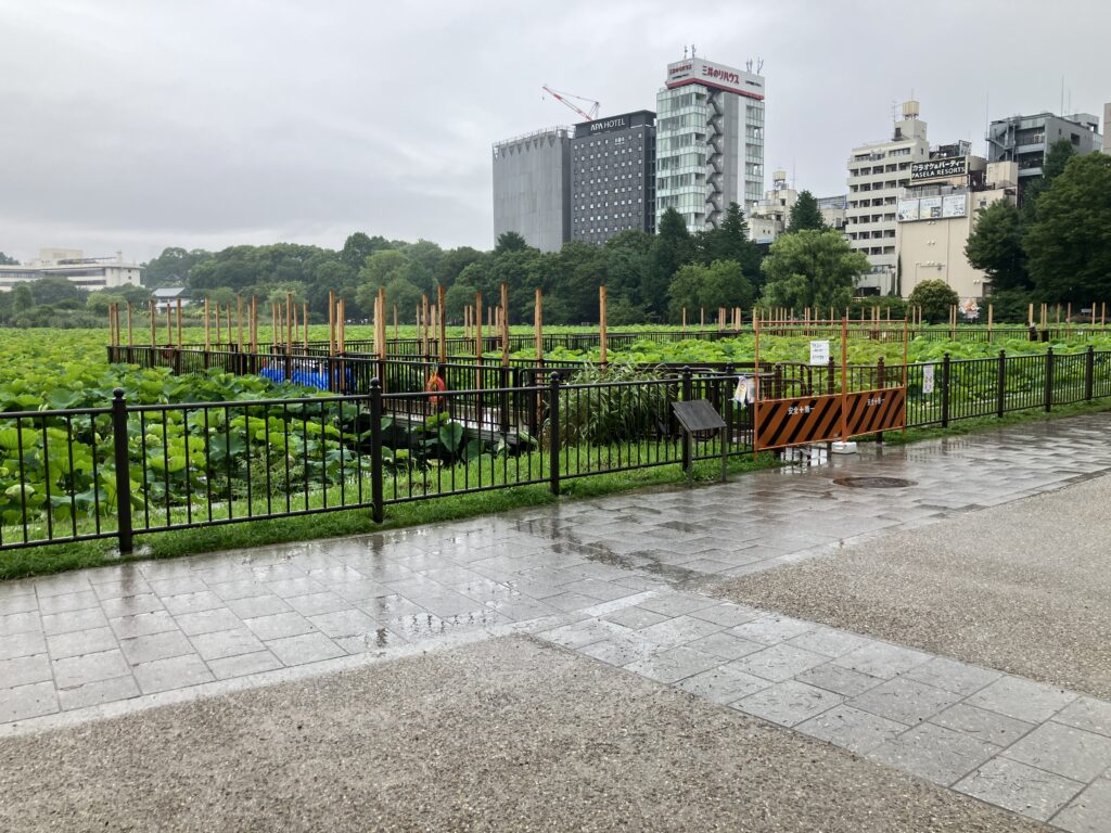 不忍池