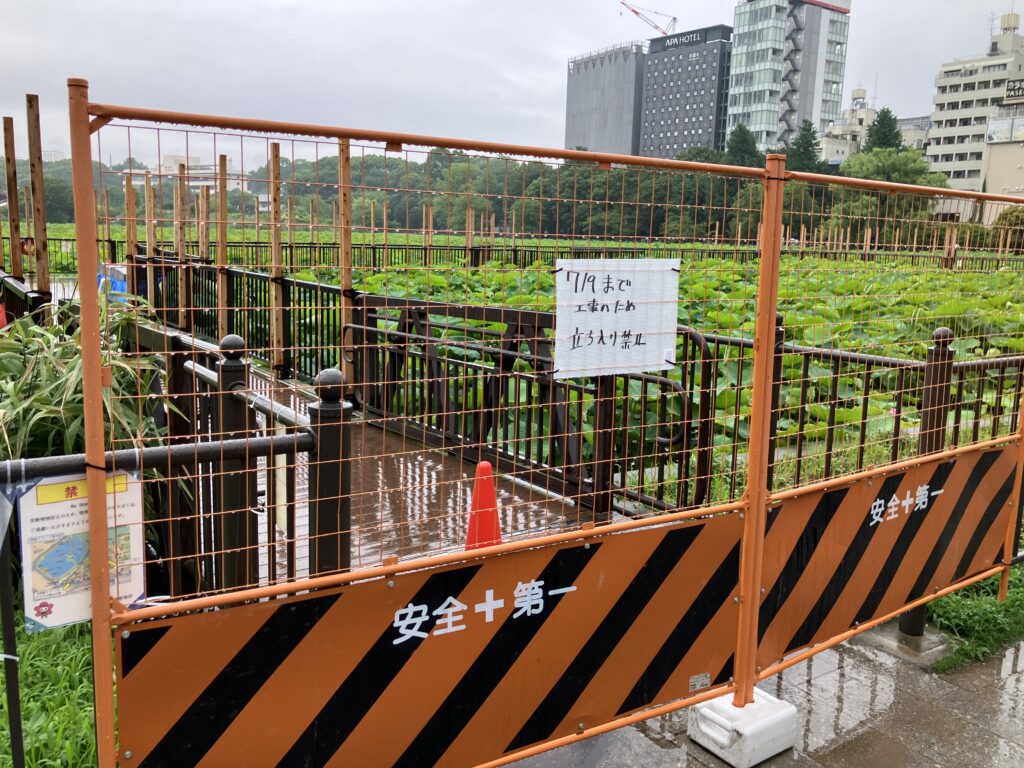 蓮見デッキ