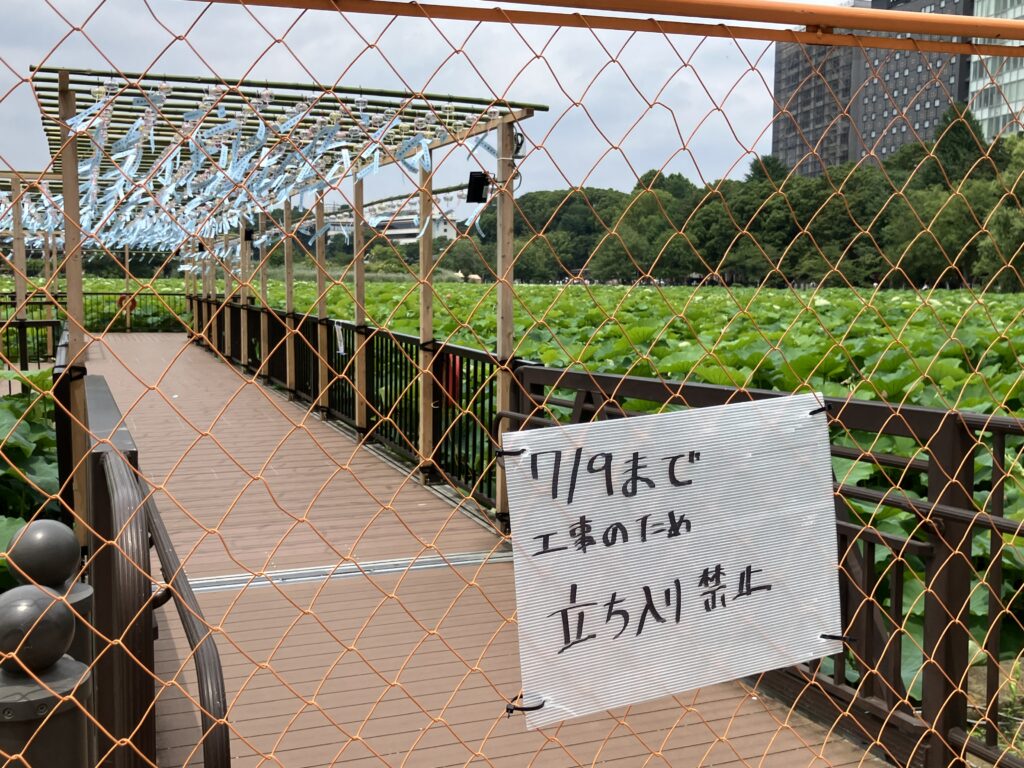 7月9日まで