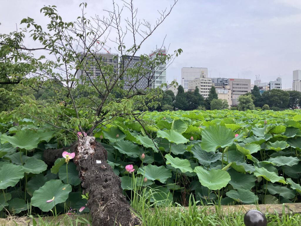 ベンチで一休み