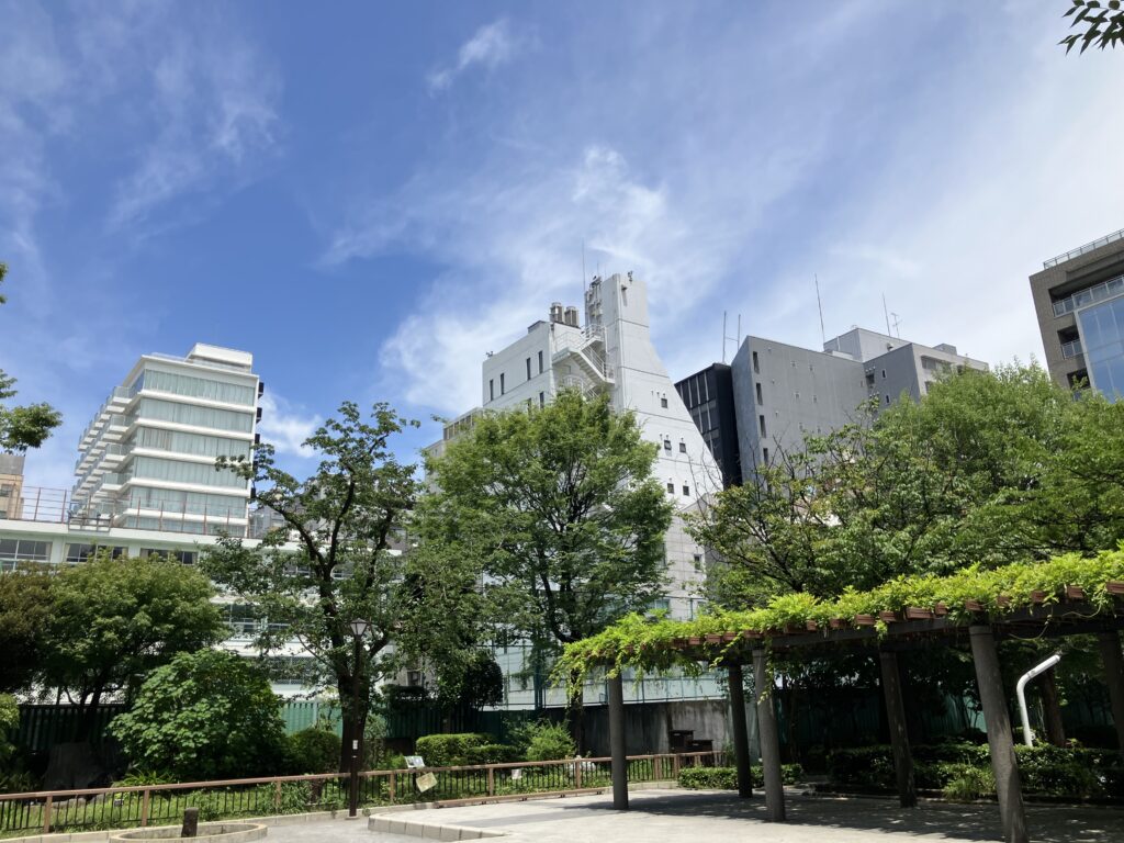 緑