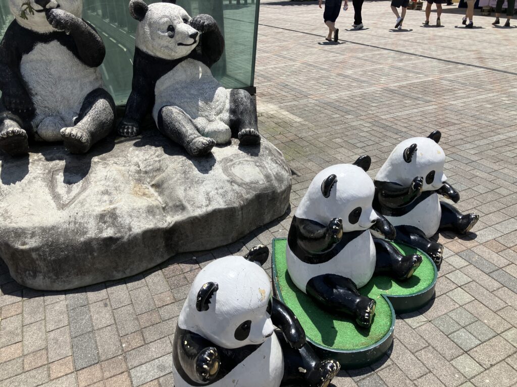 パンダ