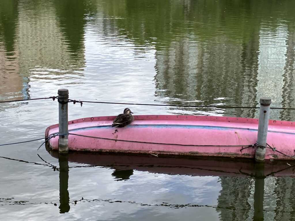 ひとやすみ?