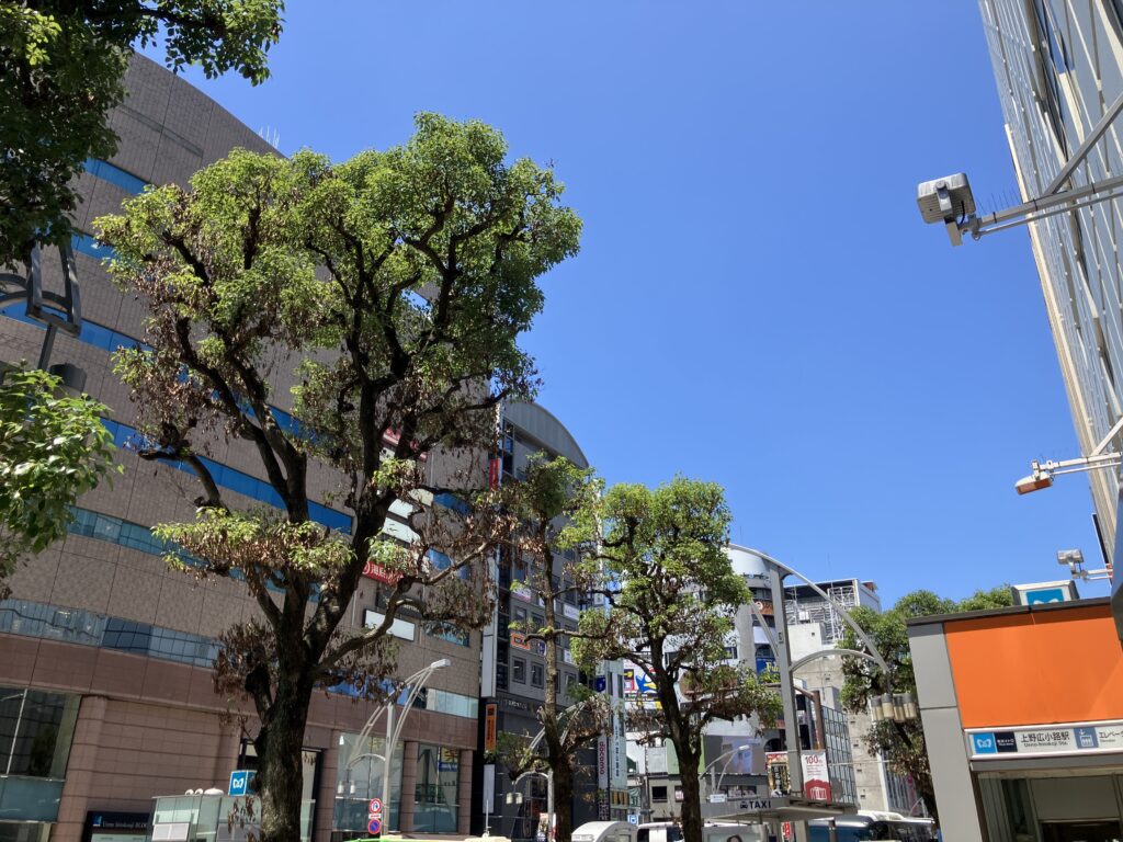 中央通り