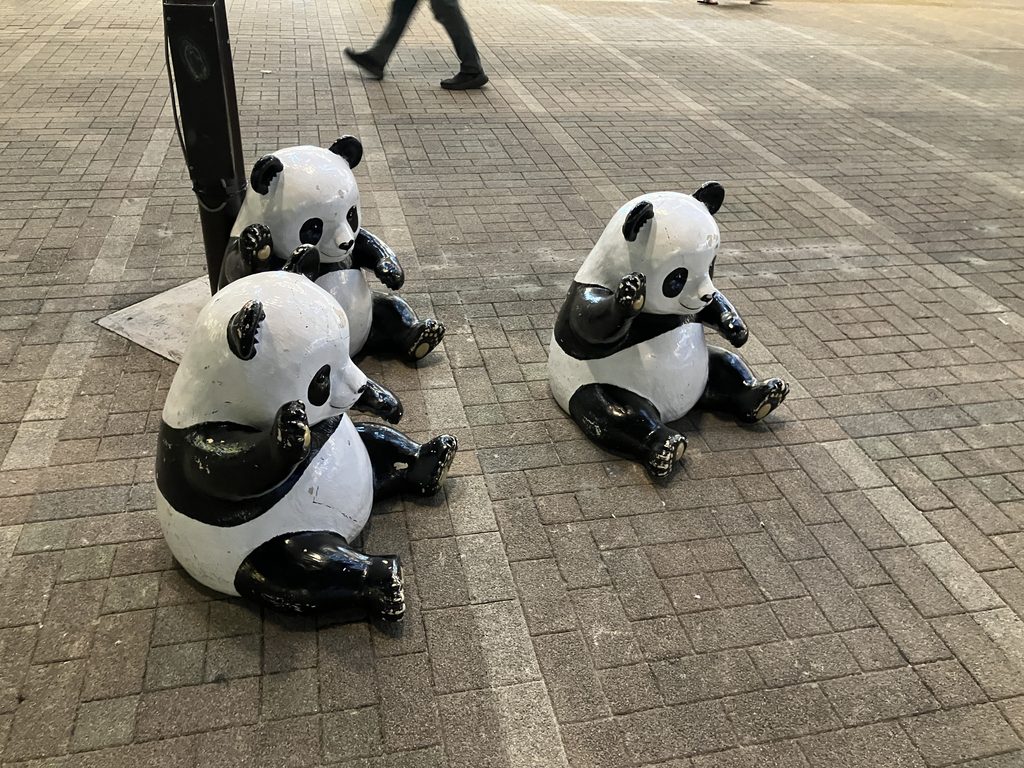 パンダ