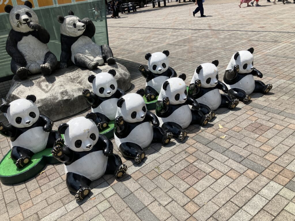 パンダ広場