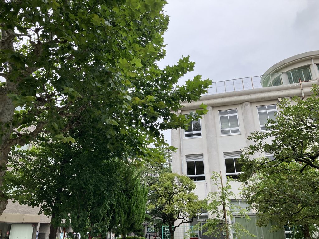 緑