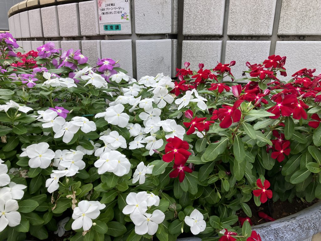 花