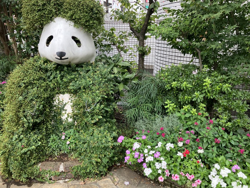 パンダ
