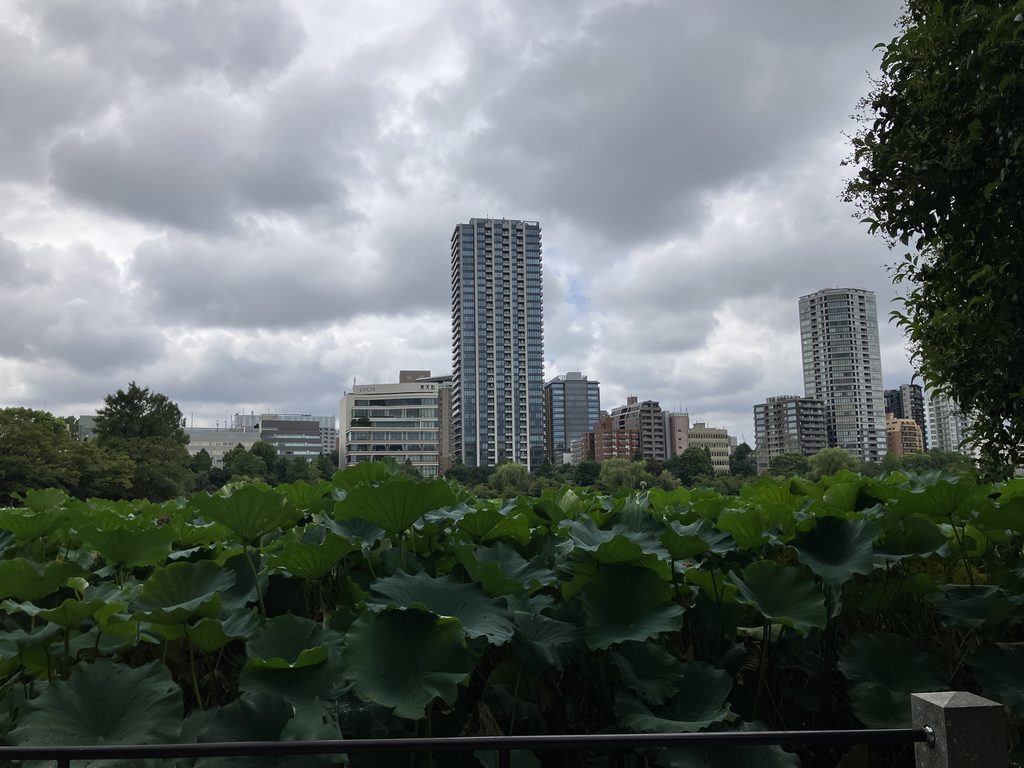 不忍池