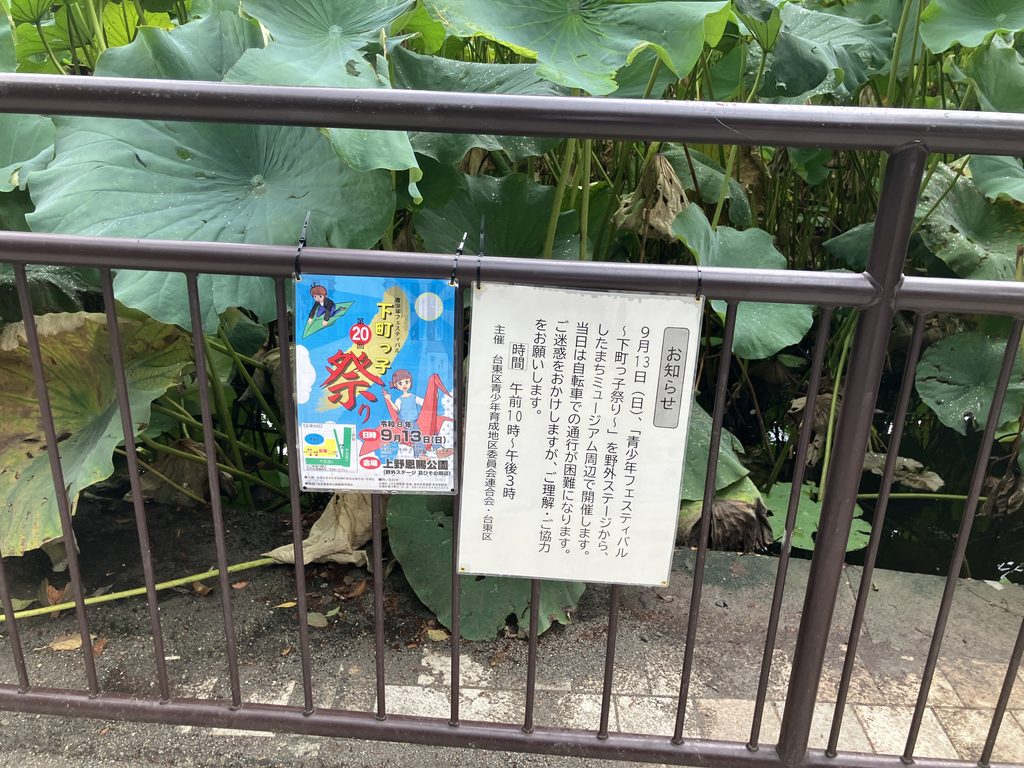青少年フェスティバル