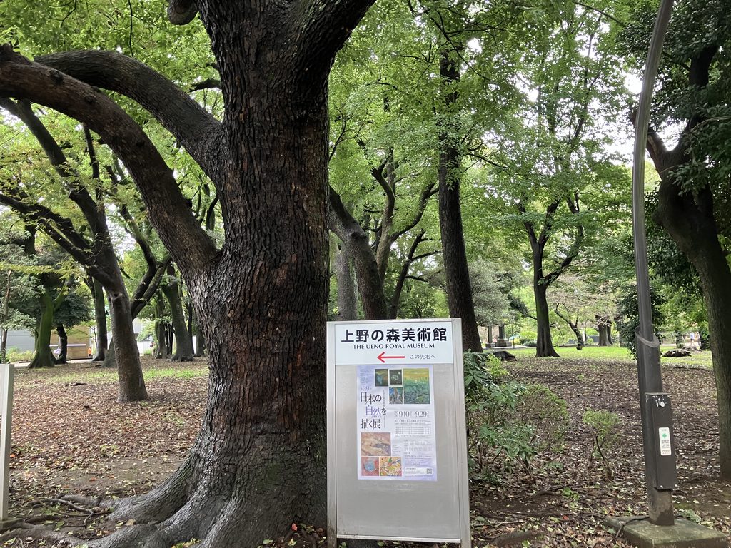 上野の森美術館