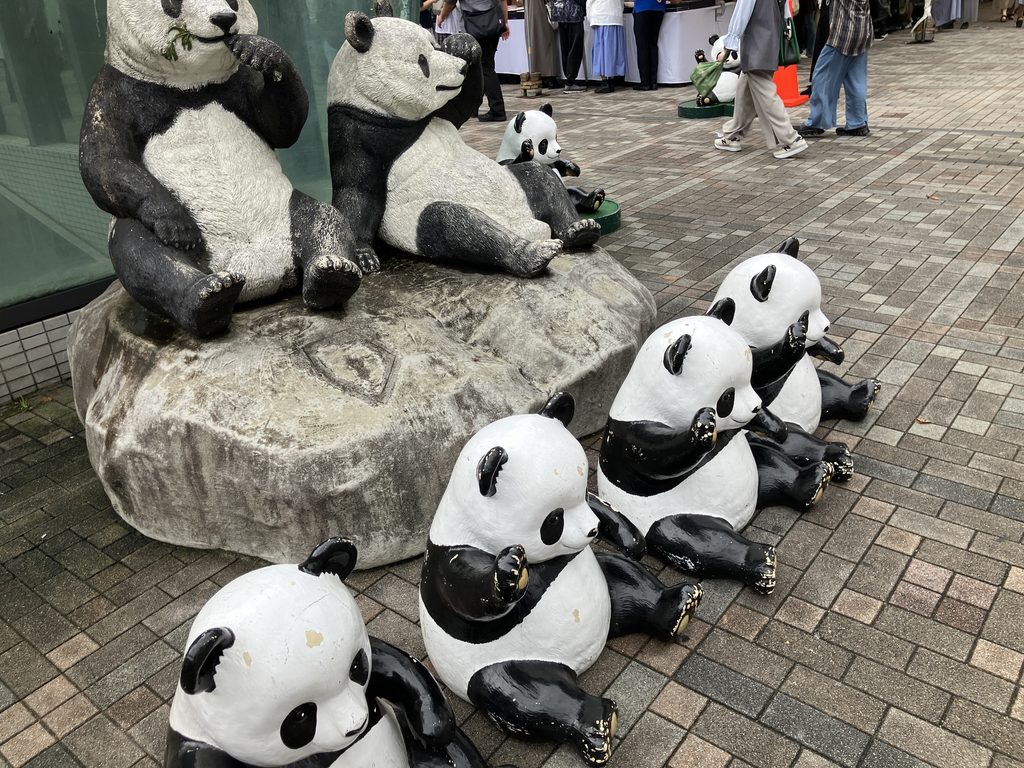 パンダ
